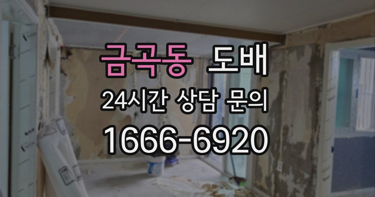 금곡동 도배