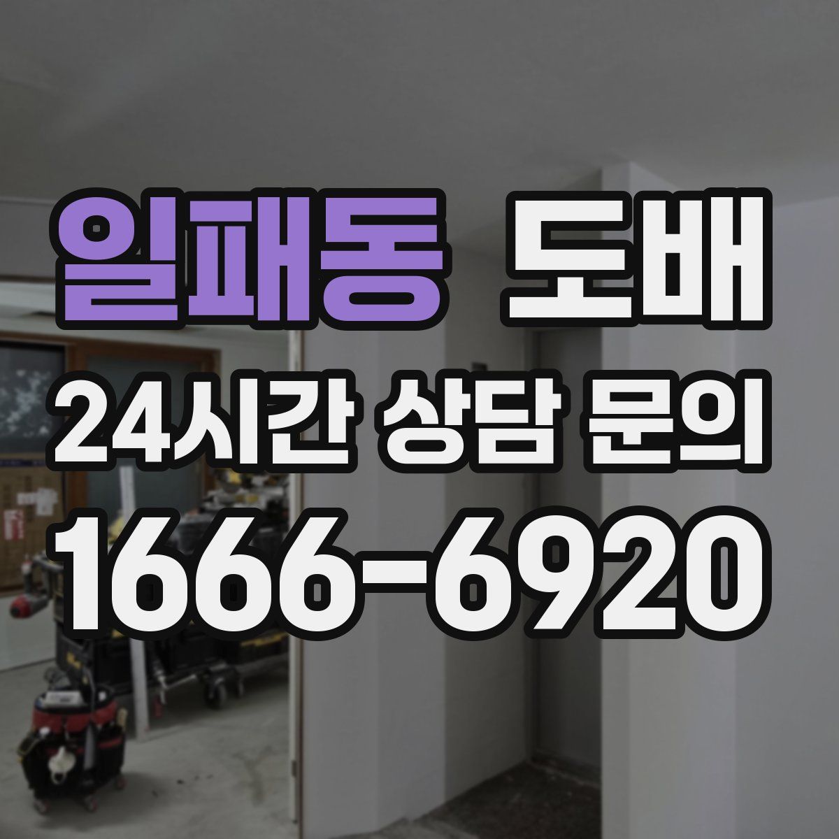 일패동 도배