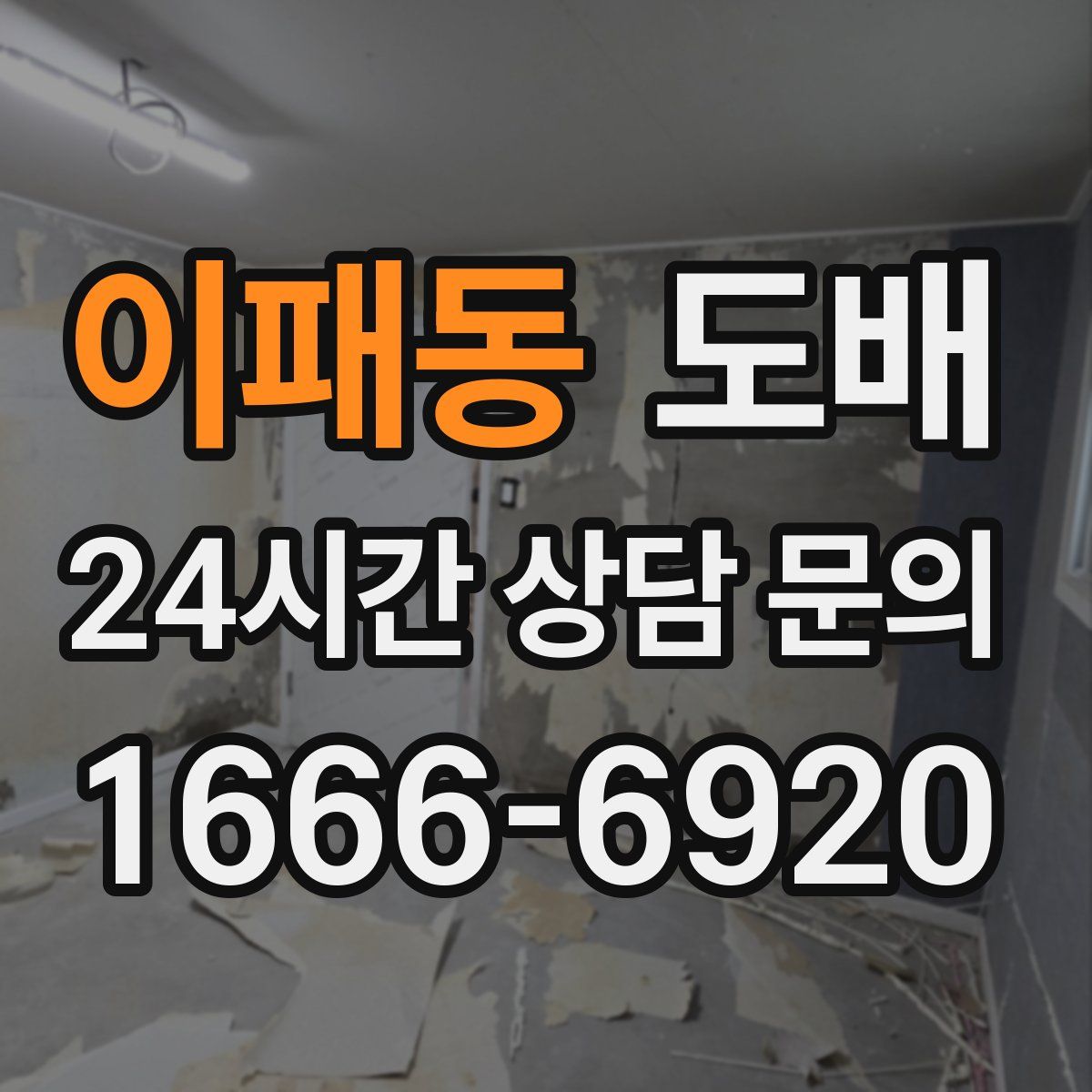 이패동 도배