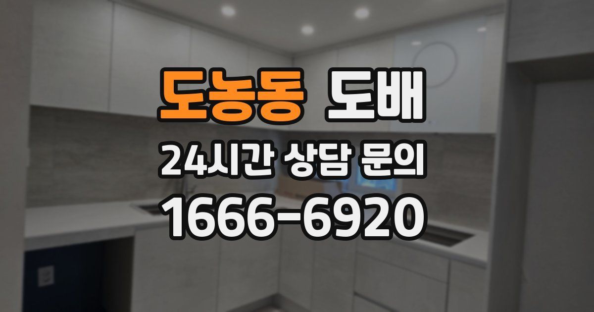 도농동 도배