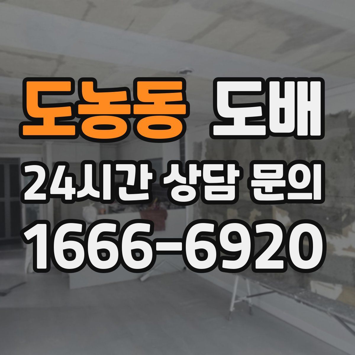 도농동 도배