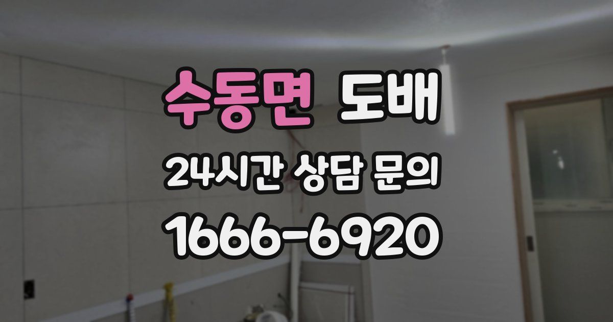 수동면 도배
