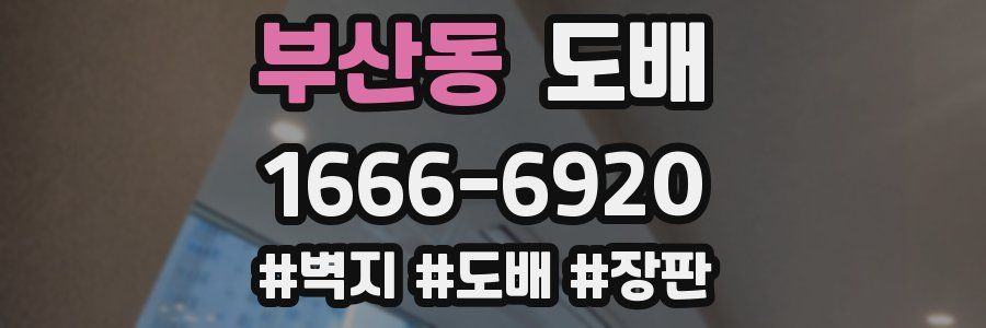 부산동 도배