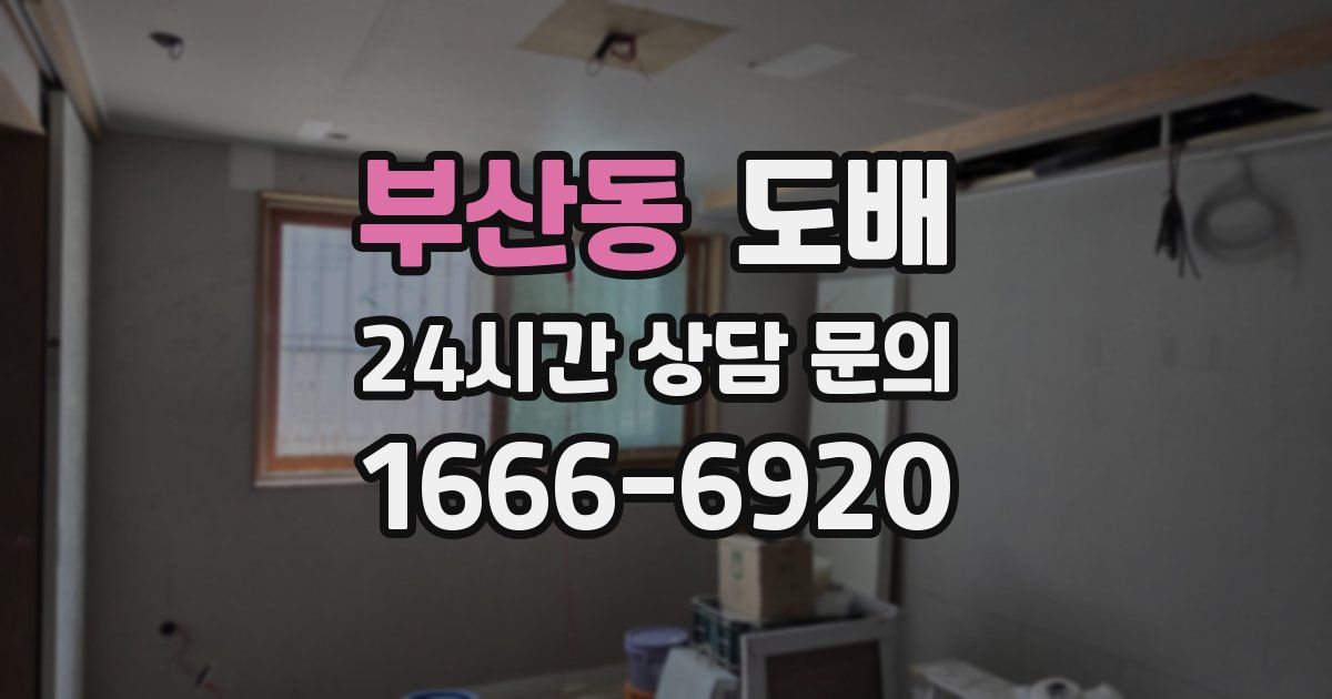 부산동 도배