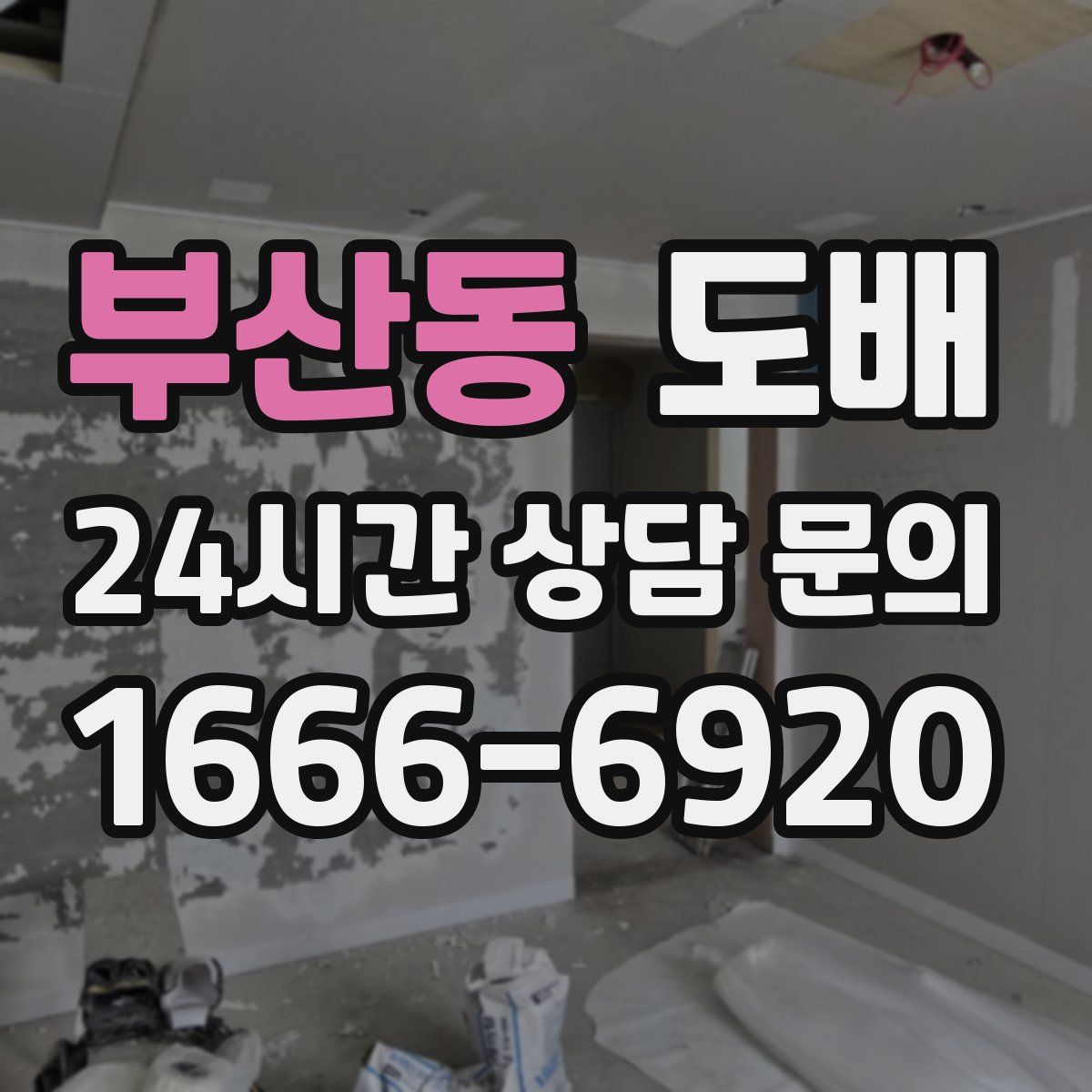 부산동 도배