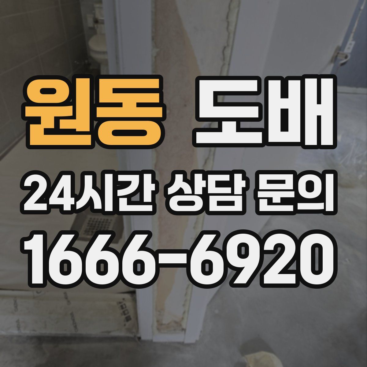 원동 도배