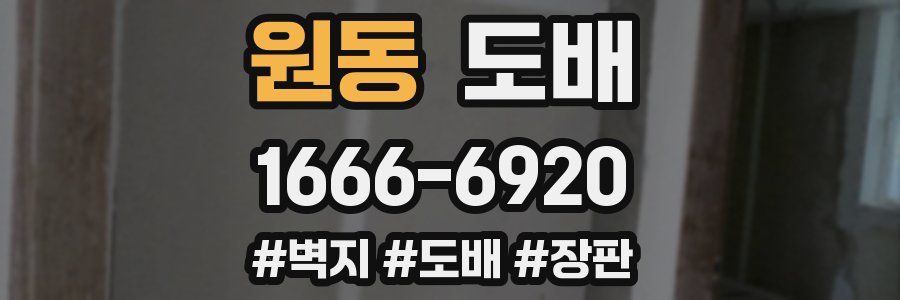 원동 도배