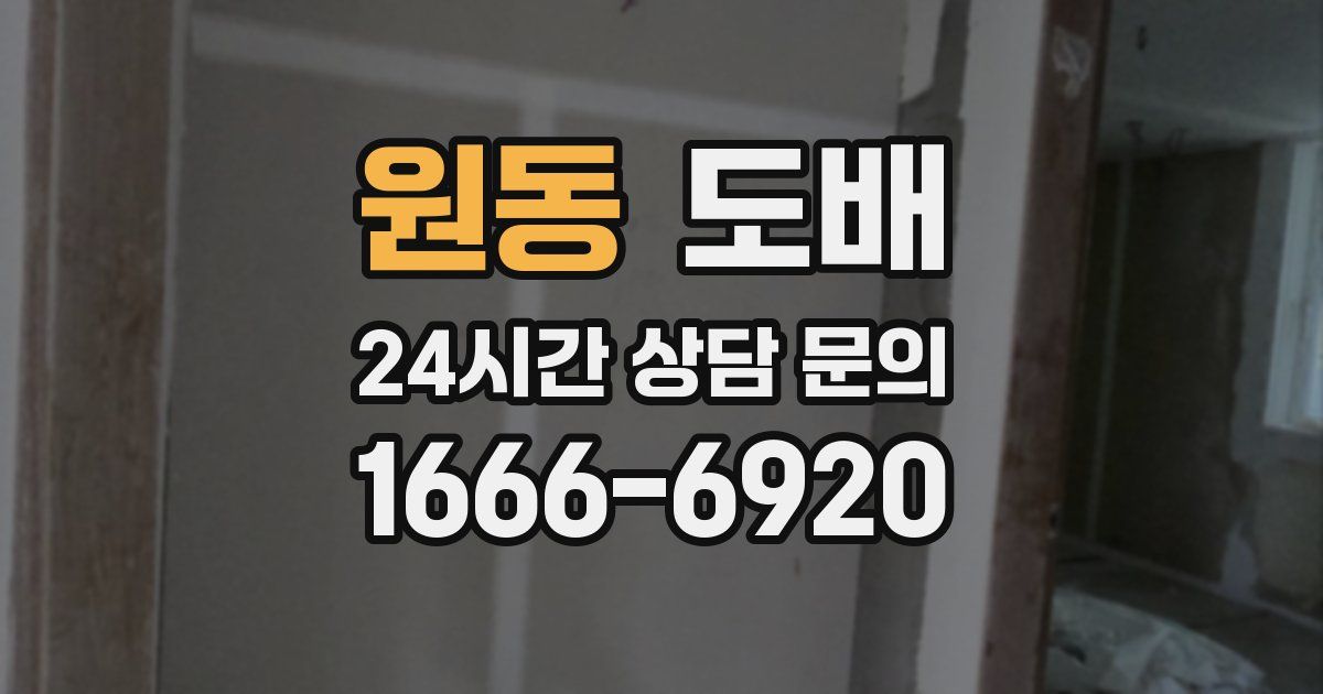 원동 도배