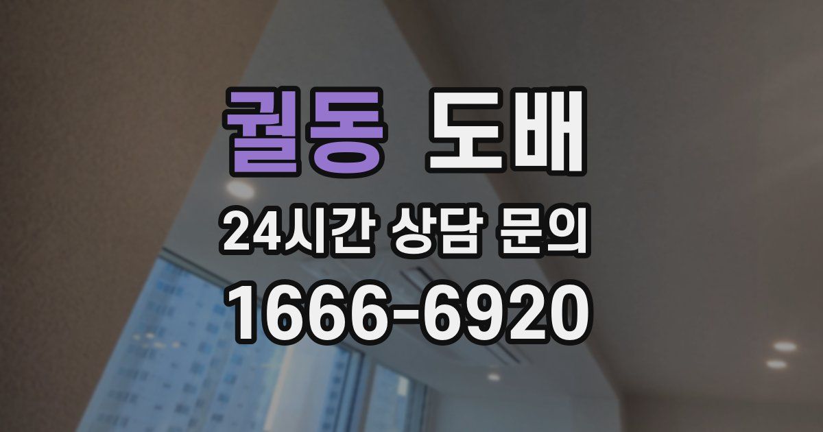궐동 도배