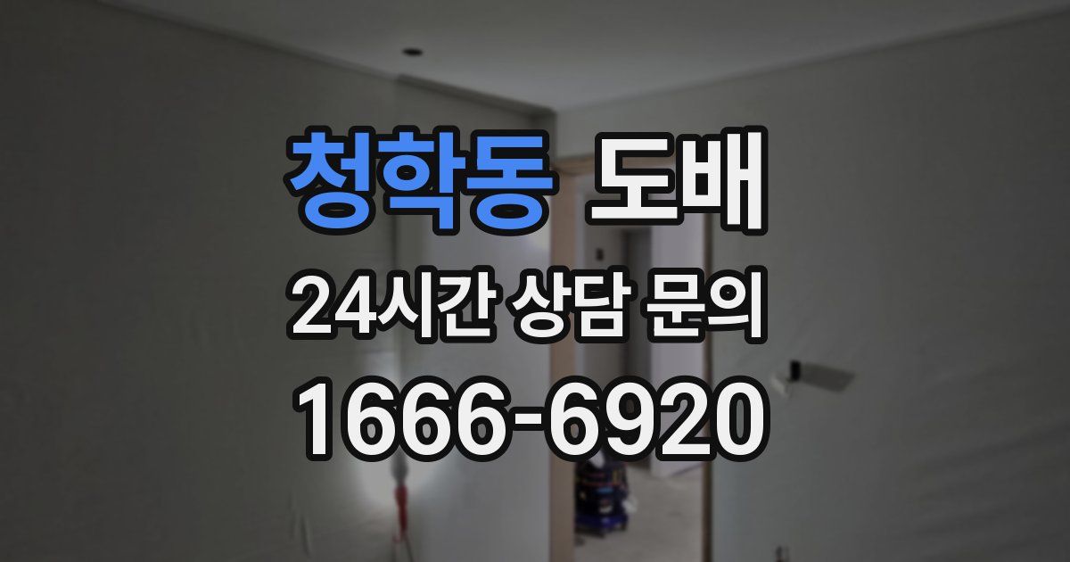 청학동 도배