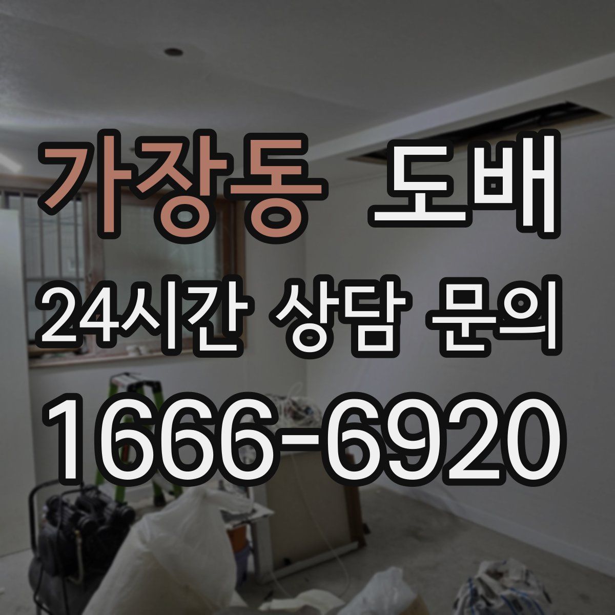 가장동 도배