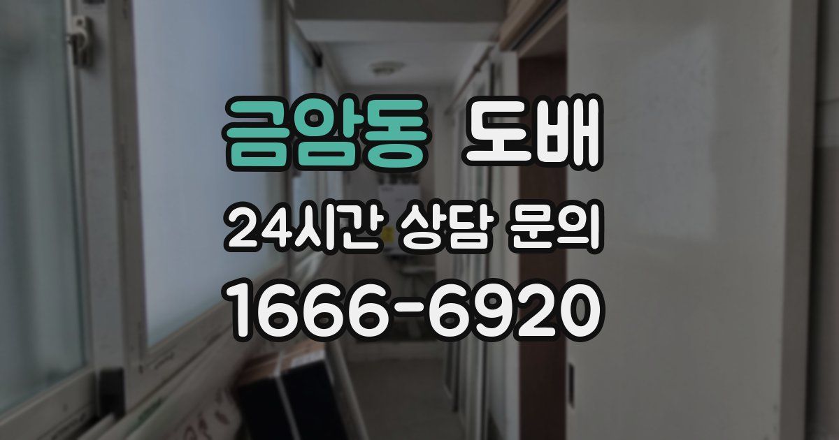 금암동 도배
