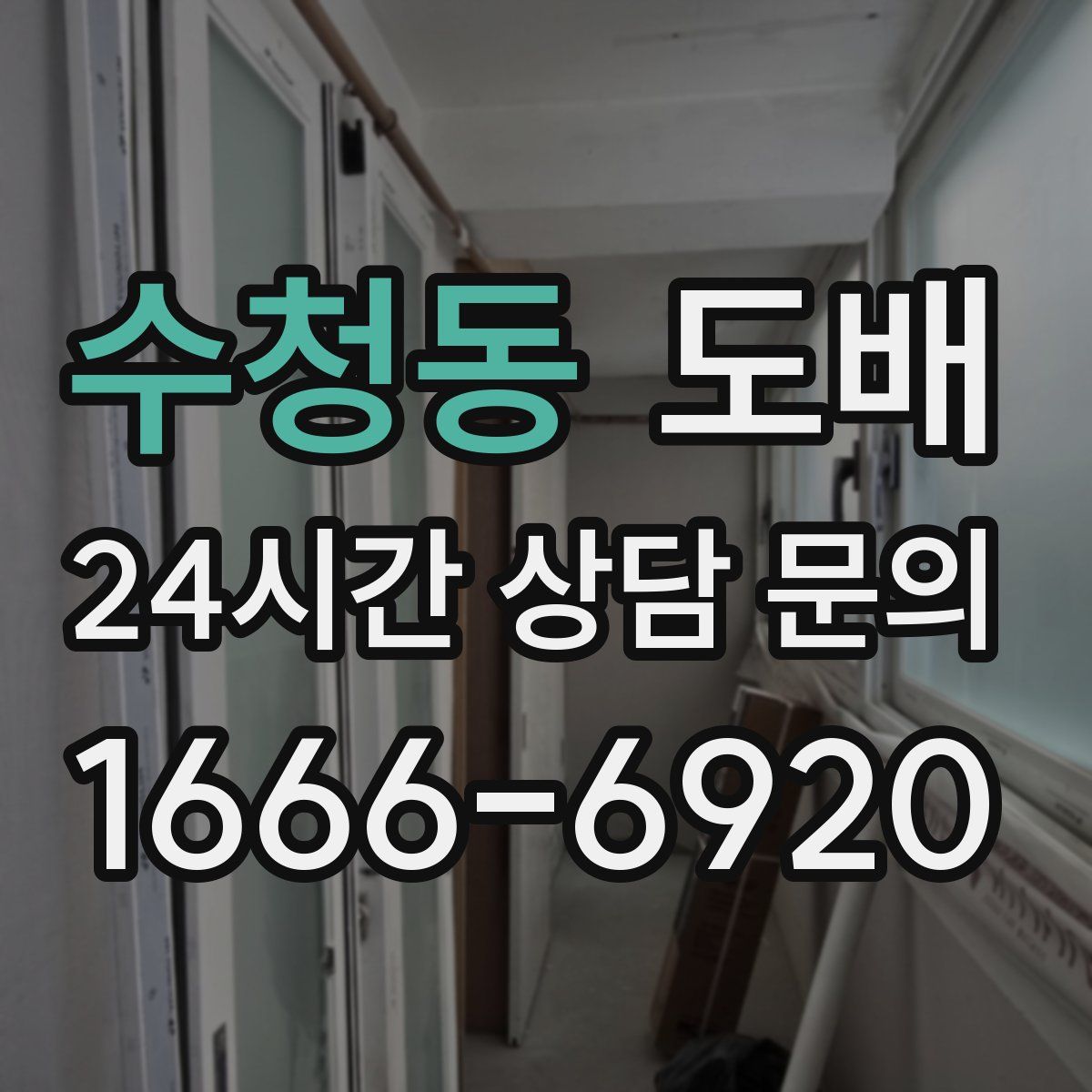 수청동 도배