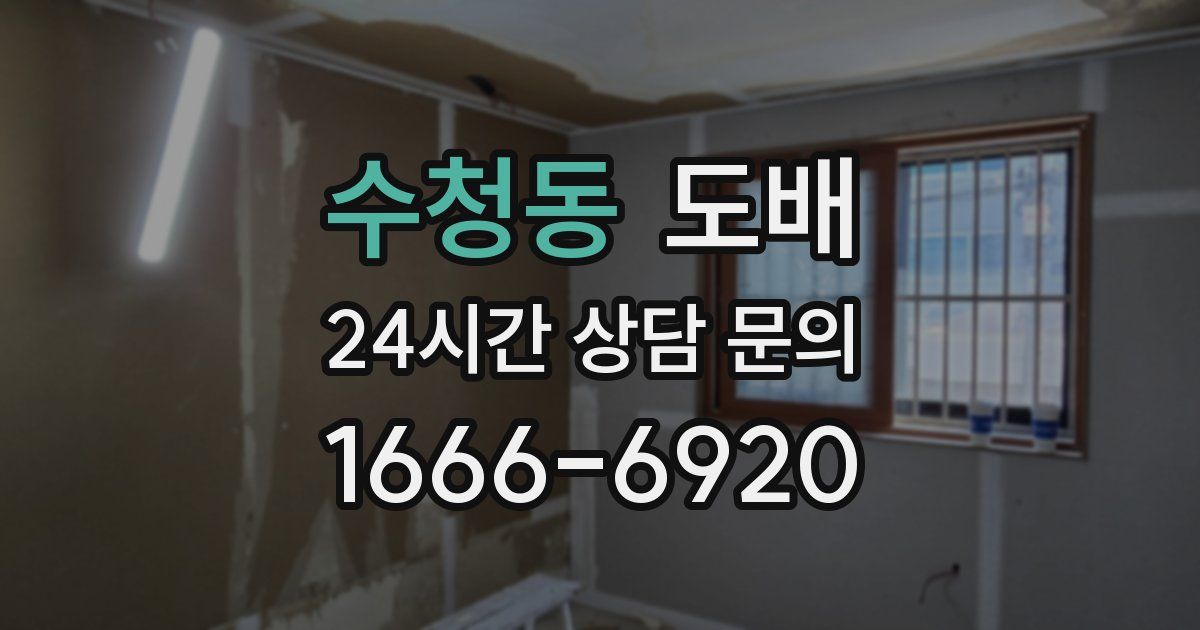 수청동 도배