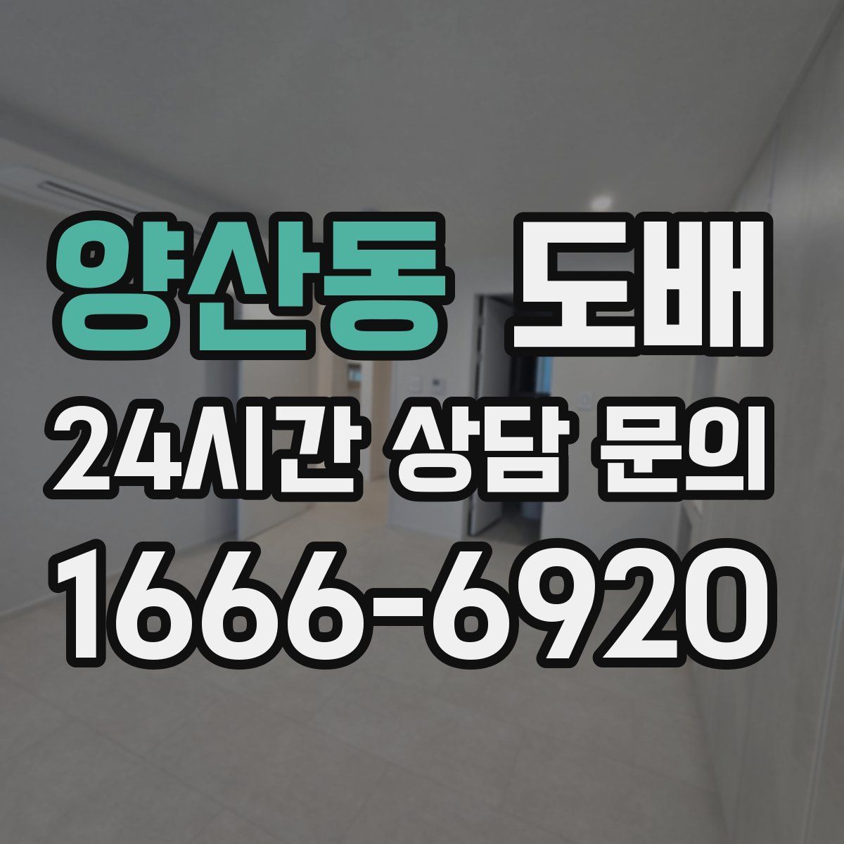 양산동 도배