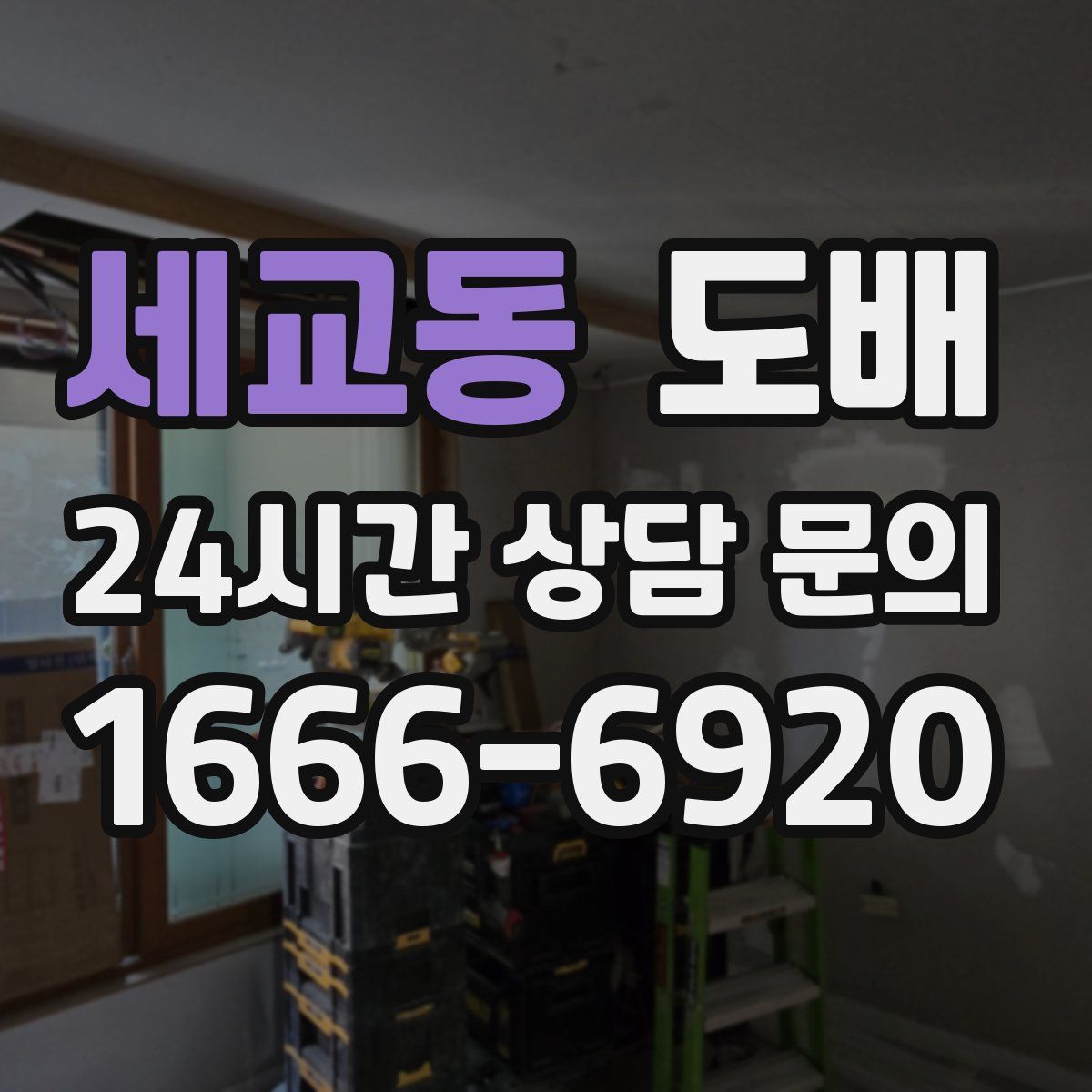 세교동 도배