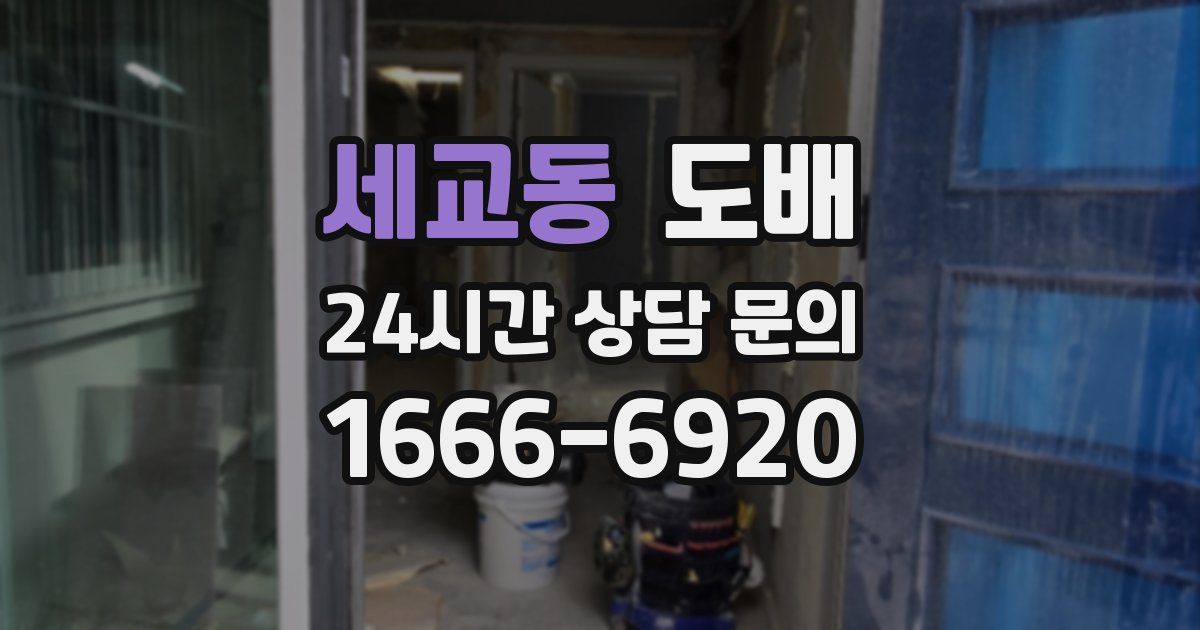 세교동 도배