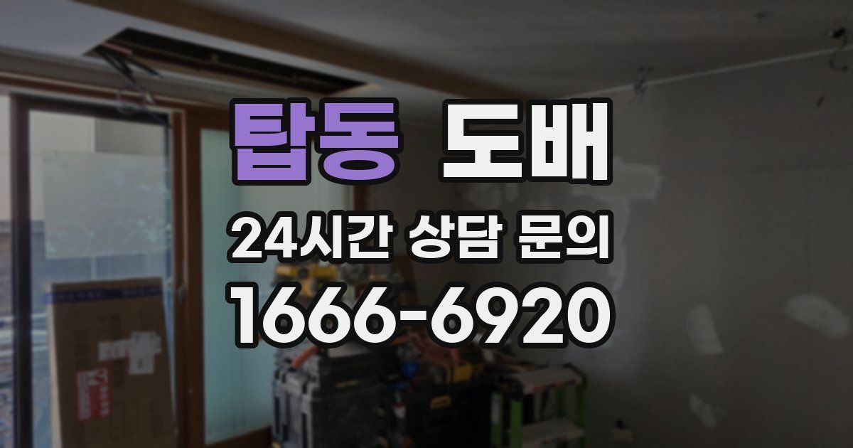 탑동 도배