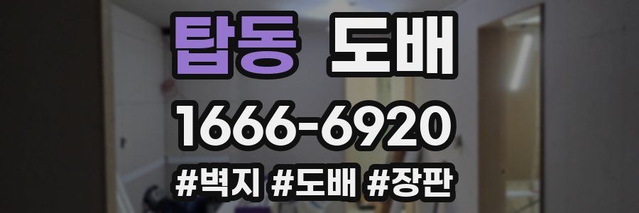 탑동 도배