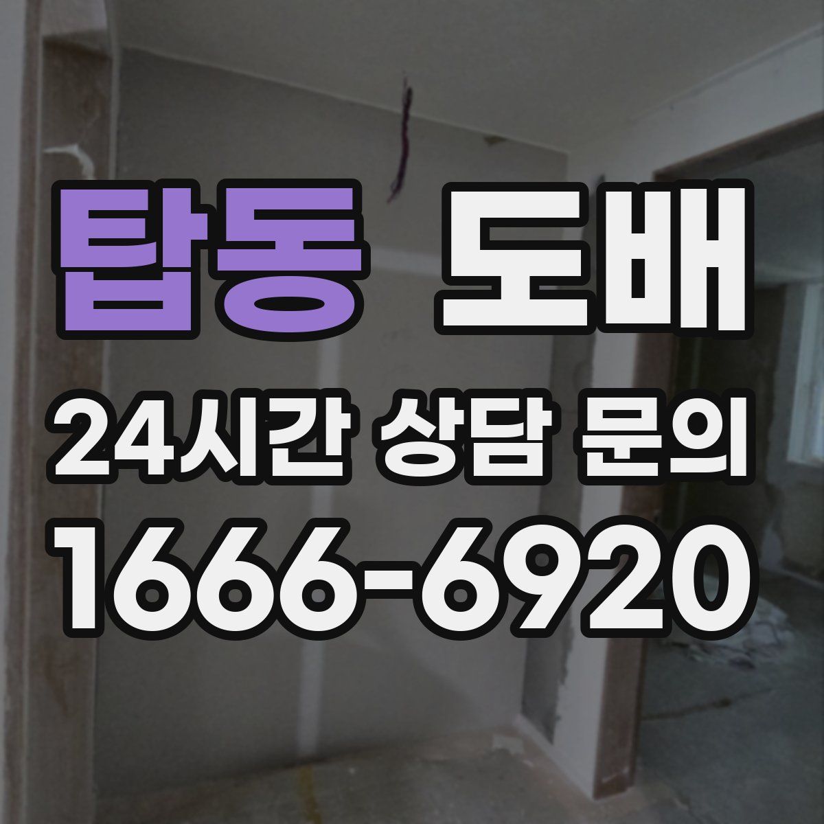 탑동 도배
