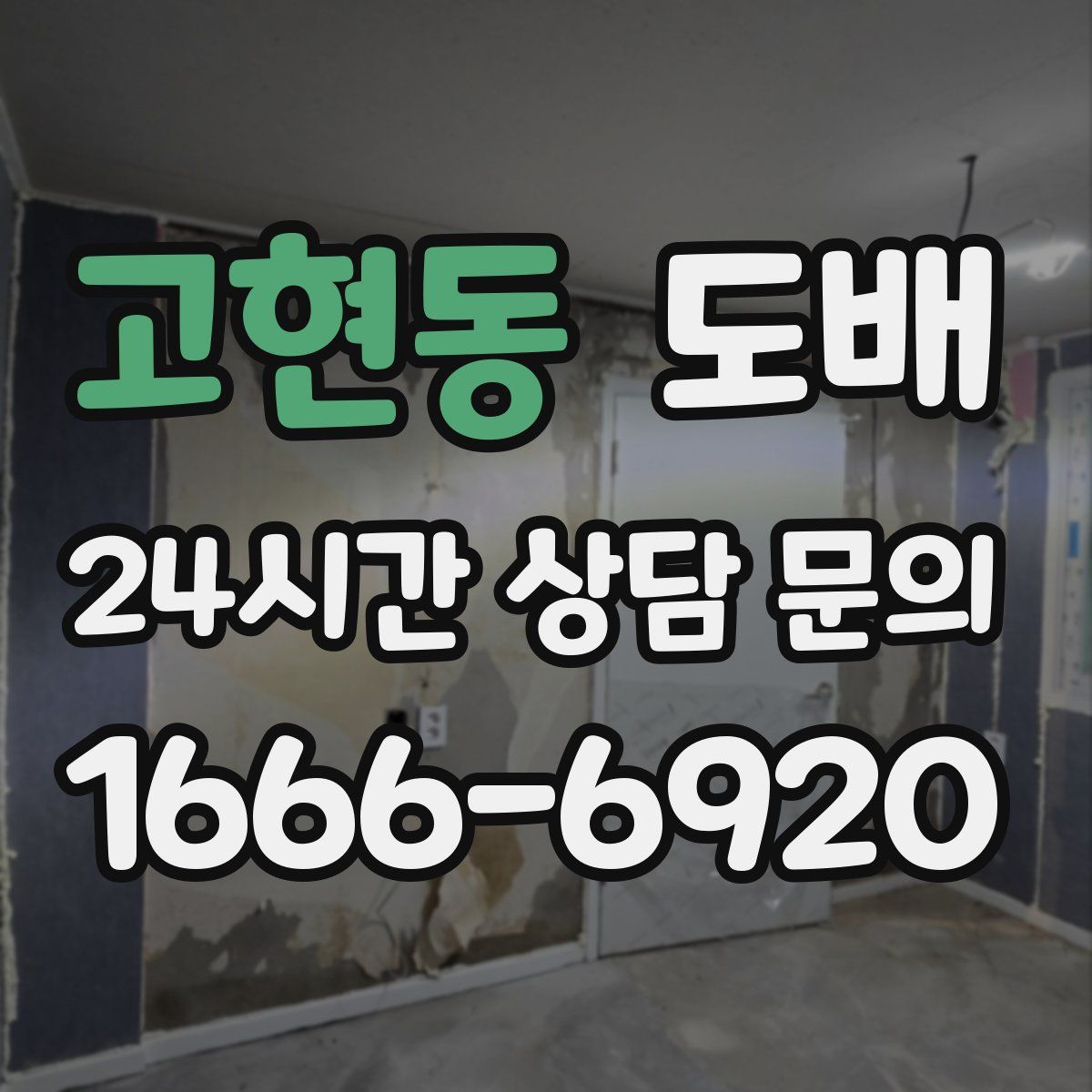 고현동 도배