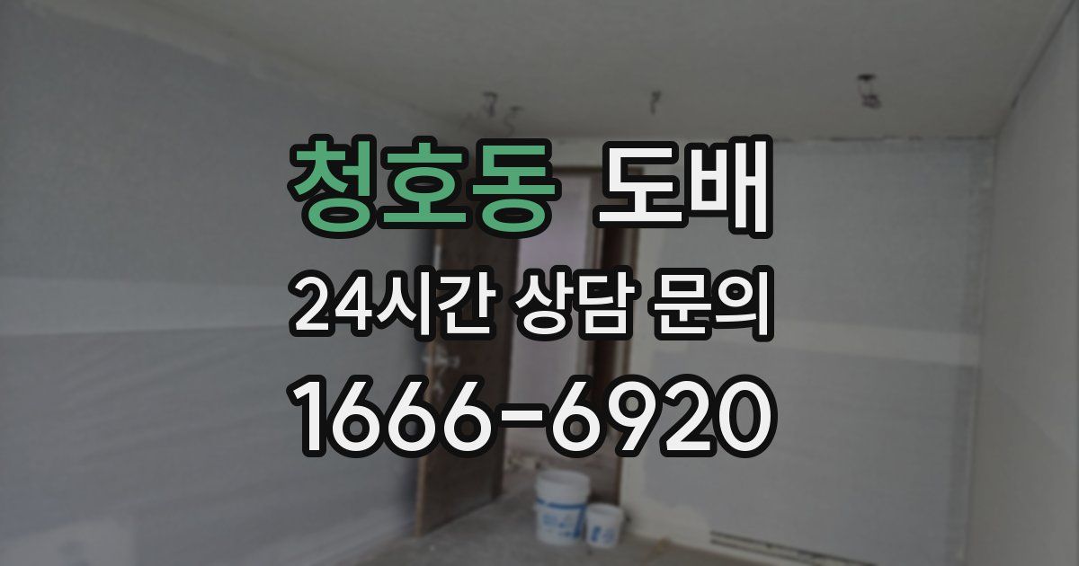 청호동 도배