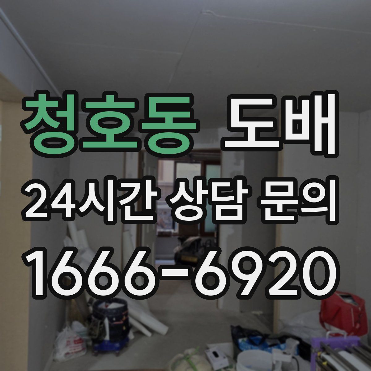 청호동 도배