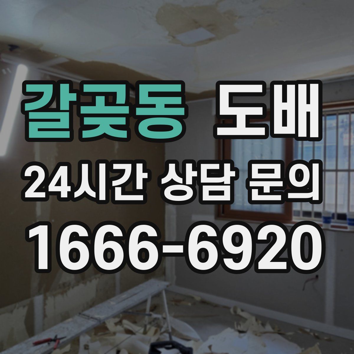 갈곶동 도배