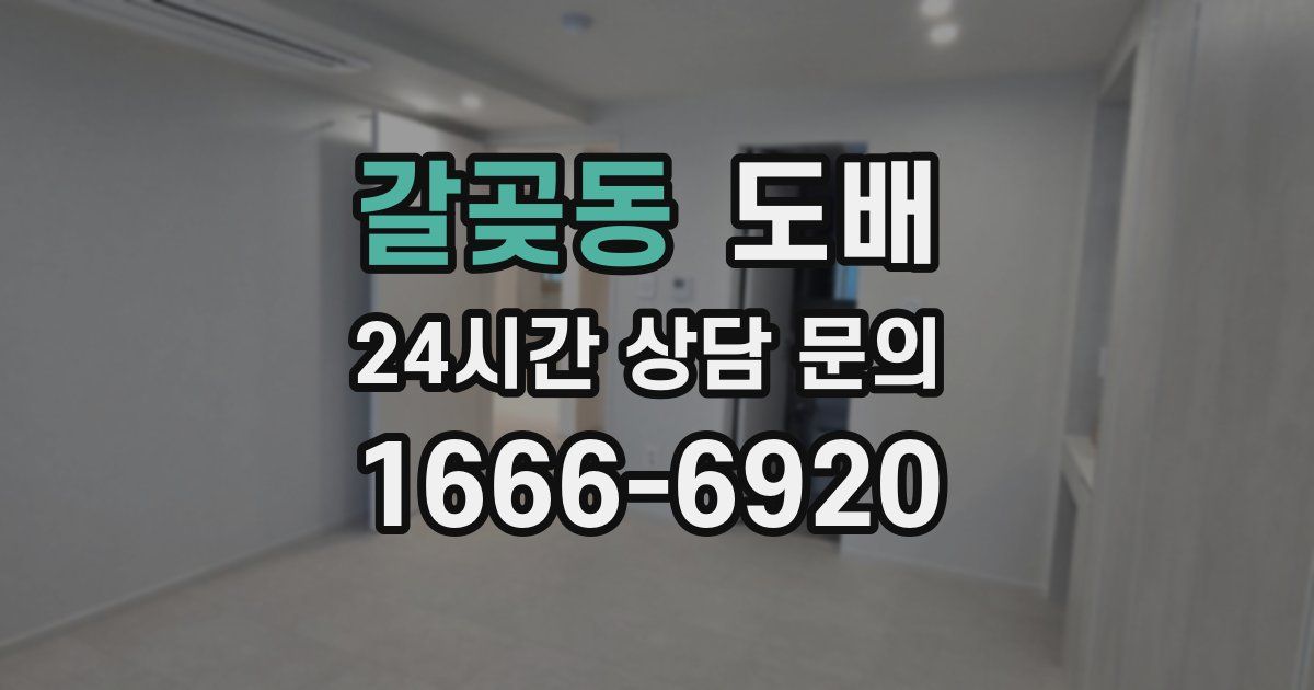 갈곶동 도배