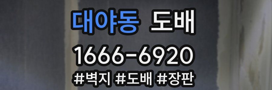 대야동 도배