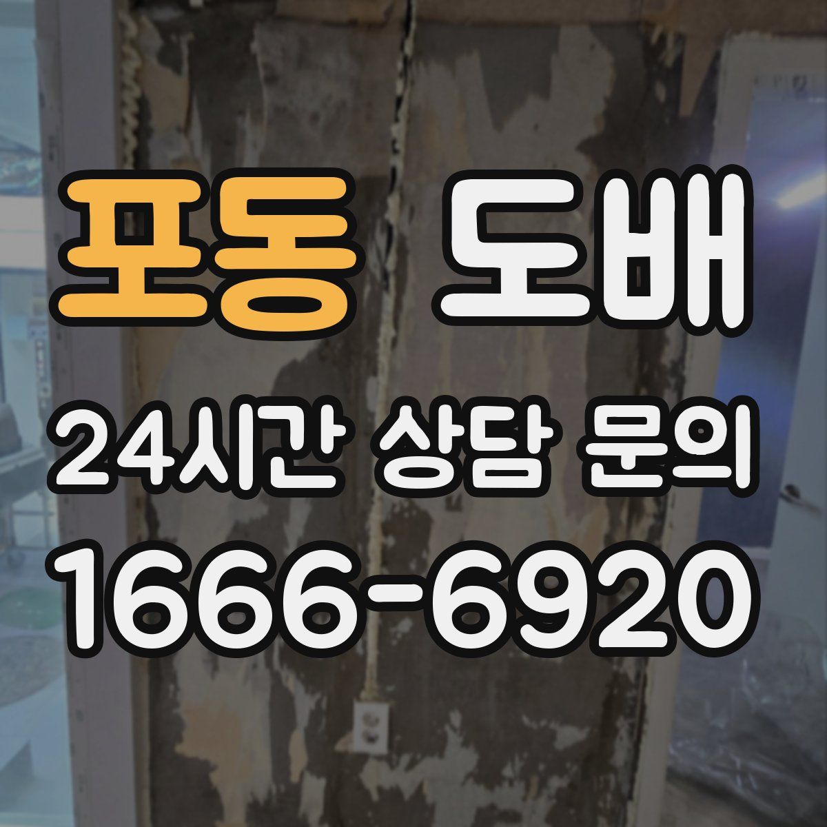 포동 도배