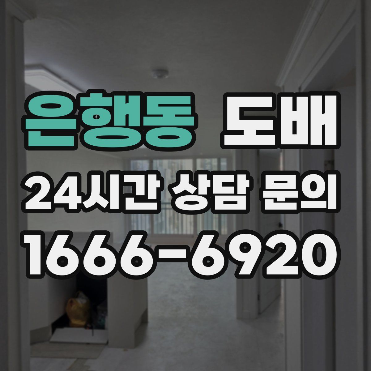 은행동 도배