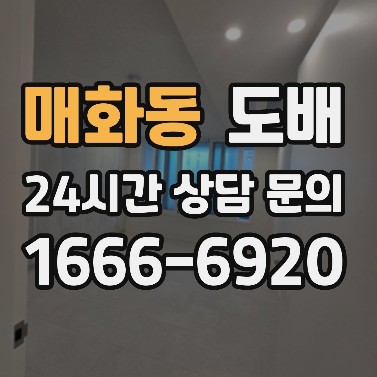 매화동 도배