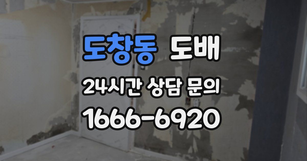 도창동 도배