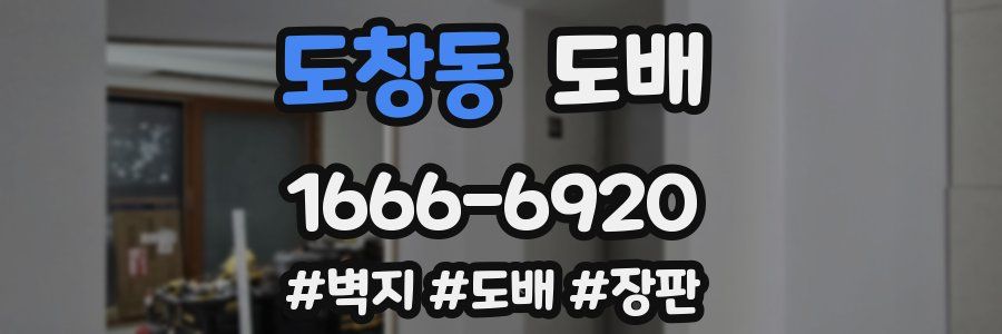 도창동 도배