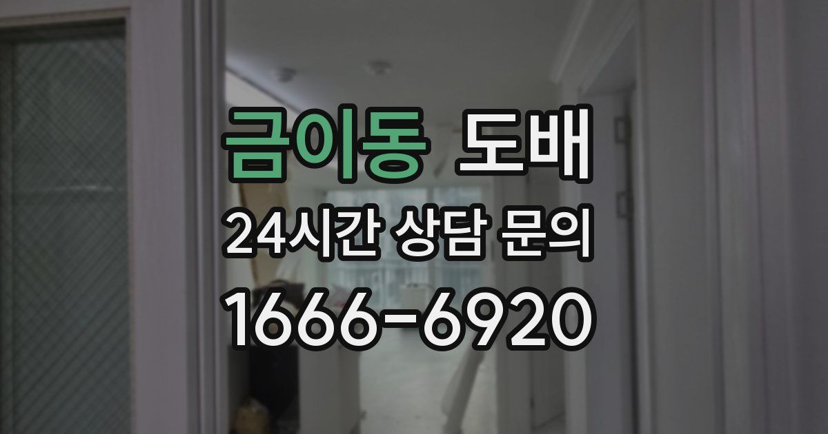 금이동 도배