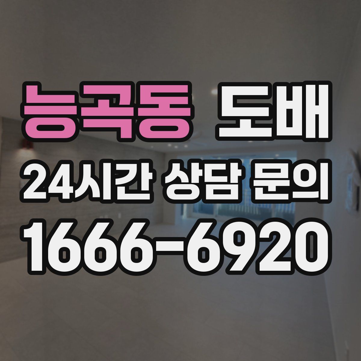 능곡동 도배