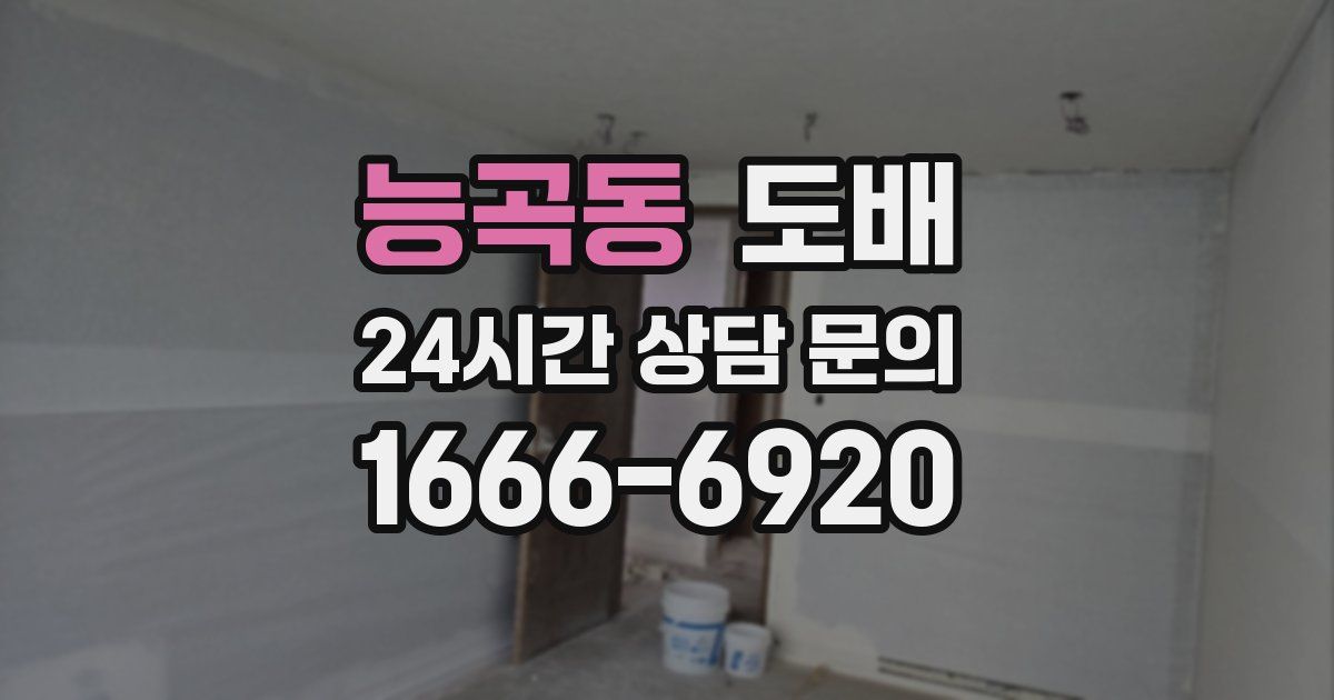 능곡동 도배