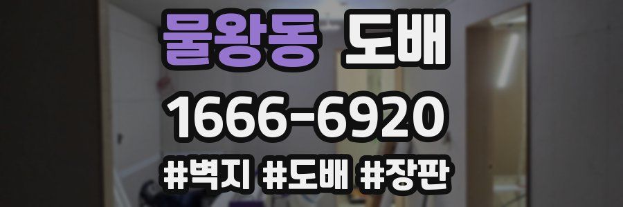 물왕동 도배