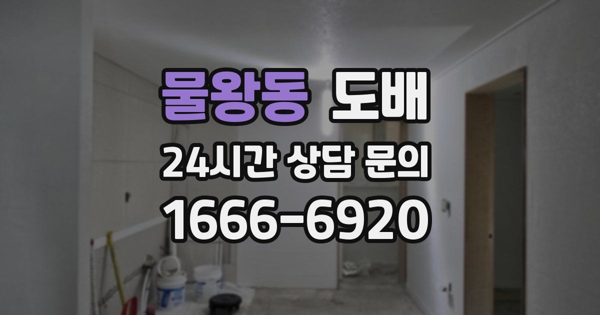 물왕동 도배