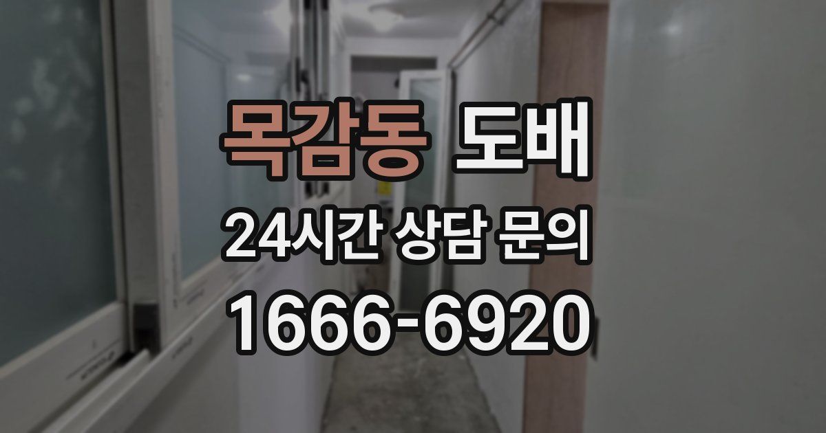 목감동 도배