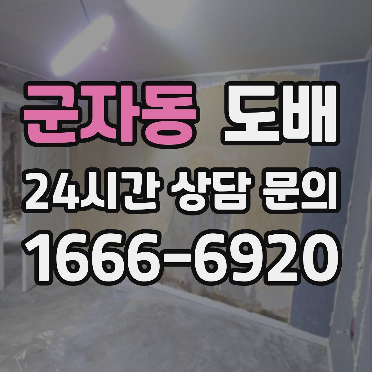 군자동 도배