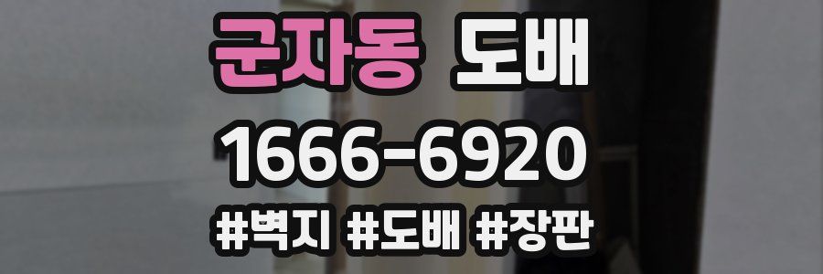 군자동 도배