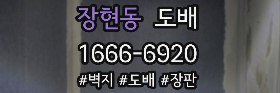 장현동 도배