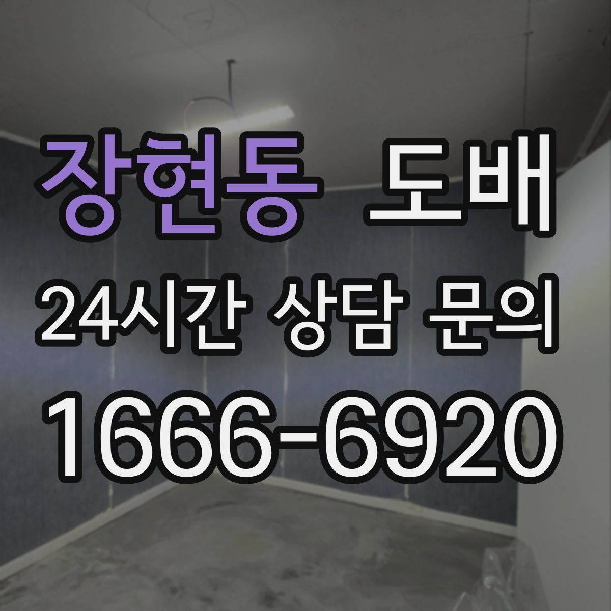 장현동 도배