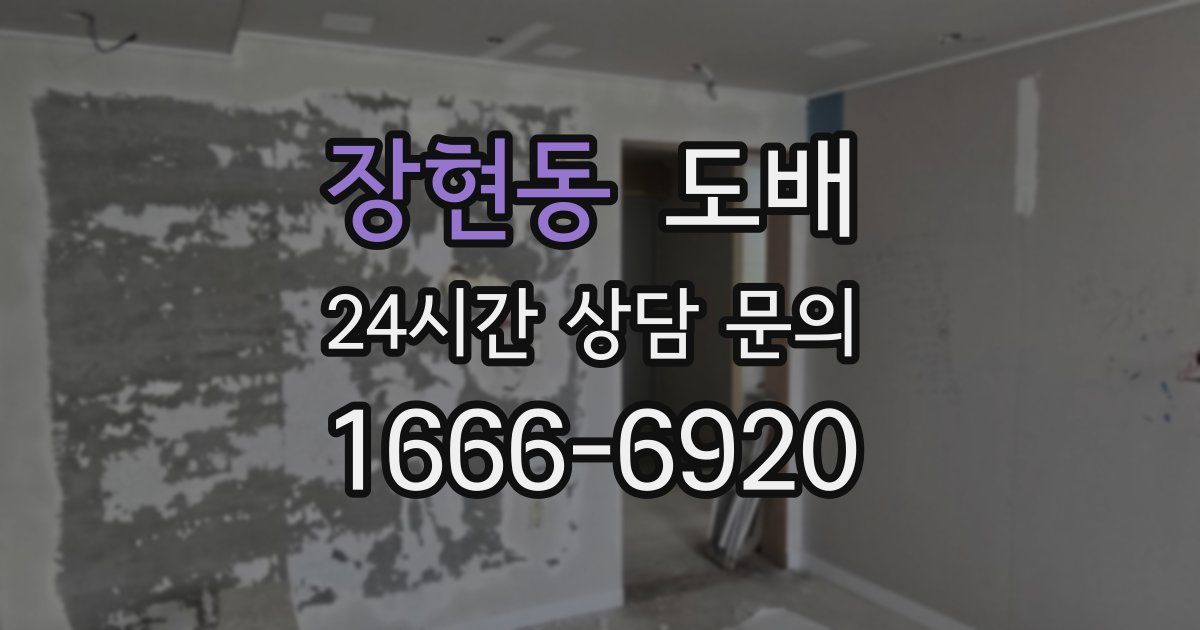 장현동 도배