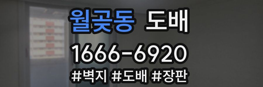 월곶동 도배