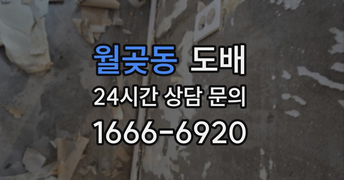 월곶동 도배