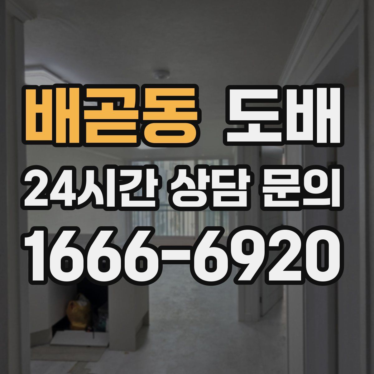 배곧동 도배
