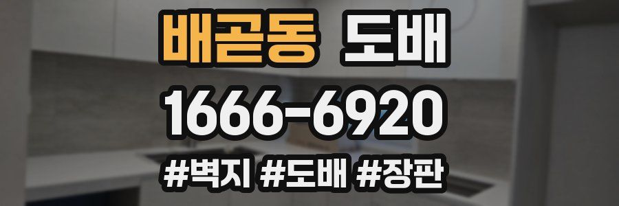 배곧동 도배
